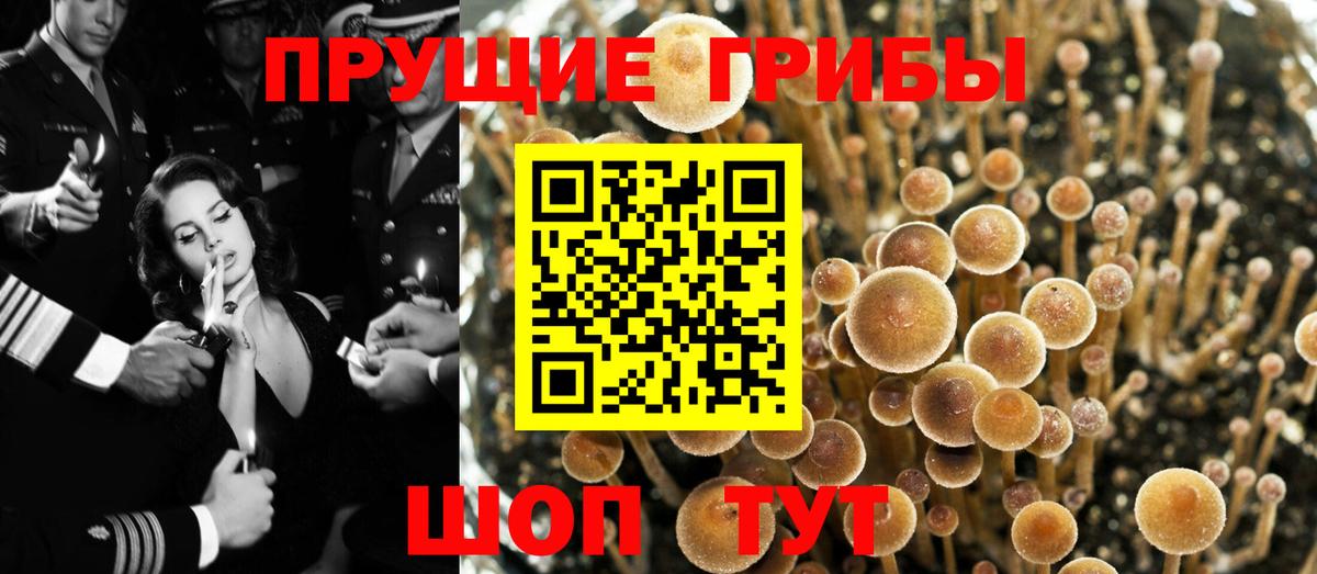 Юрга  Галлюциногенные грибы Magic Shrooms  Вход с VPN 