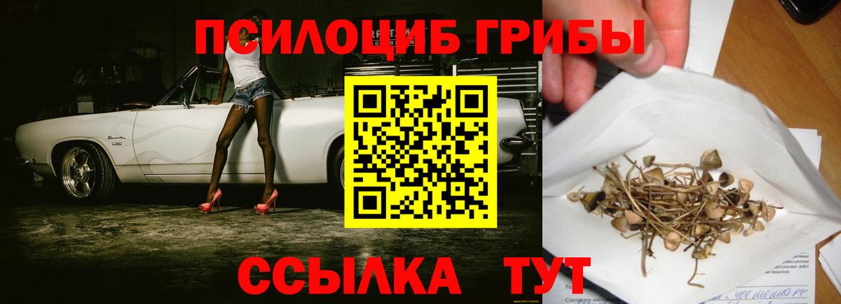 Галлюциногенные грибы ЛСД Юрга